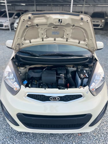 ពណ៌ទឹកគោមានស្តុក 50គ្រឿងជាង Kia Morning 2012 អាចមកជ្រើសរើសតាមតំរូវការបាន