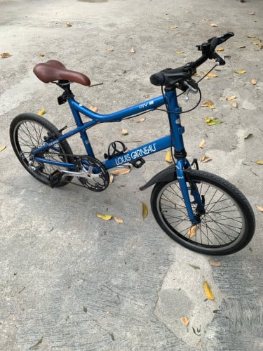 Louis Garneau MV2