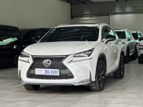 NX200t f sport