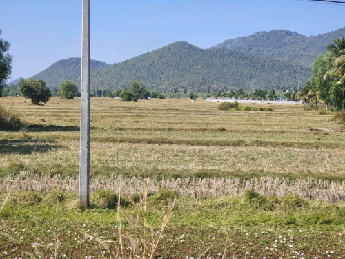 ដីសម្រាប់លក់