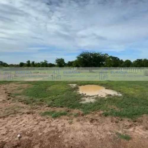ឱកាសវិនិយោគដី ខេត្តកំពង់ចាម (ស្រុកកំពង់សៀម)