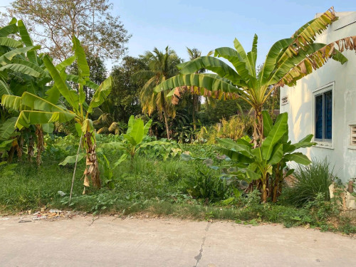 ដីលក់បន្ទាន់