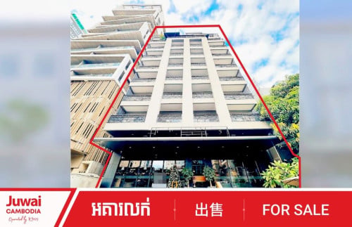 แขแแถแแแนแแแแแแ1แแถแแ
แแแผแแแแแแ Building at BKK1 with high income