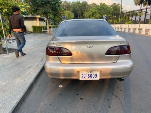 លក់បងប្អូនឆ្នាំ1999
