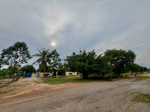 ដីលក់បន្ទាន់ម្ចាស់ផ្ទាល់ 33m X 124m ល្អសម្រាប់បើភោជនីយដ្ឋាន