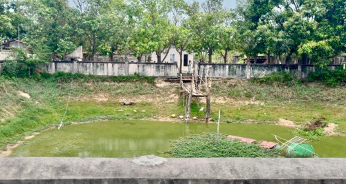 ដីជួល/លក់បន្ទាន់ 33m X 124m ល្អសម្រាប់បើភោជនីយដ្ឋាននៅលើផ្លូវសាលាខេត្តចាស់ជិតមាន់អាំងបាគង។