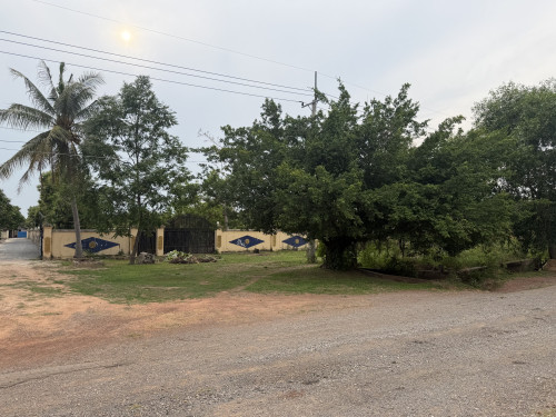 ដីជួល/លក់បន្ទាន់ 33m X 124m ល្អសម្រាប់បើភោជនីយដ្ឋាននៅលើផ្លូវសាលាខេត្តចាស់ជិតមាន់អាំងបាគង។