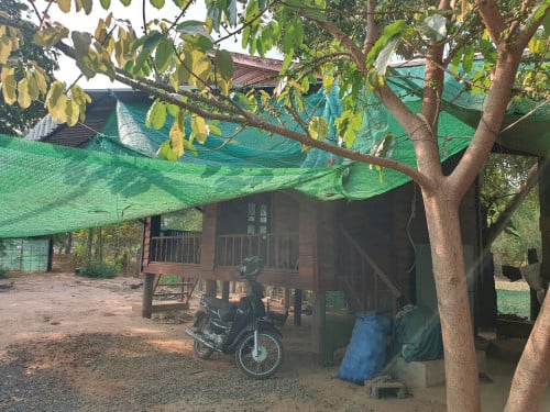 #ដី&ផ្ទះលក់