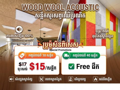 ផ្ទាំងដេគ័រ ម៉ូតសសៃឈើ Woodwool Acoustic