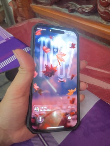 16 pro max ប្រញាប់លុយ