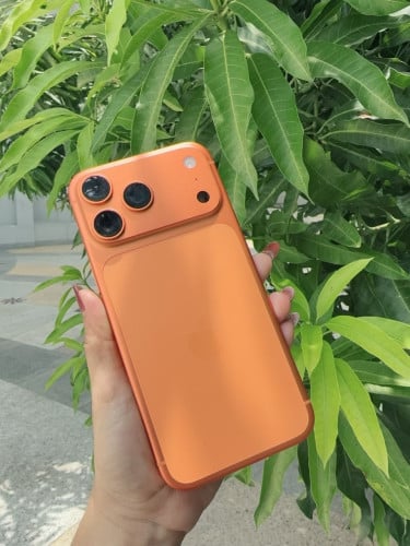 17 Pro Max -256G . ZA Sim1+ ESIM orange