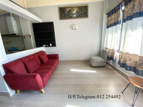 Big Unit Fully Furnished Apartment for Rent