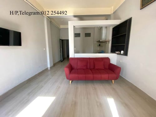 Big Unit Fully Furnished Apartment for Rent