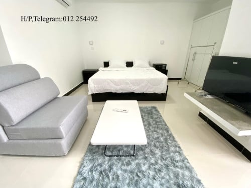 Brand New Pool and Gym Apartment for Rent