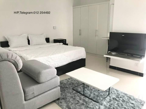 Brand New Pool and Gym Apartment for Rent