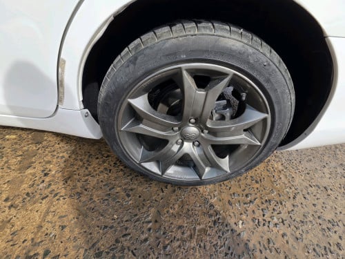 CAMARY.07.XLE.ហ្វូល