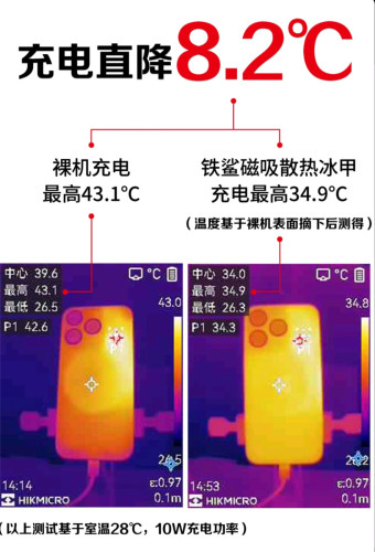 Case iphone 13 Pro