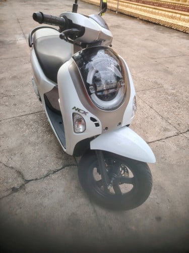 Honda scoopy2025