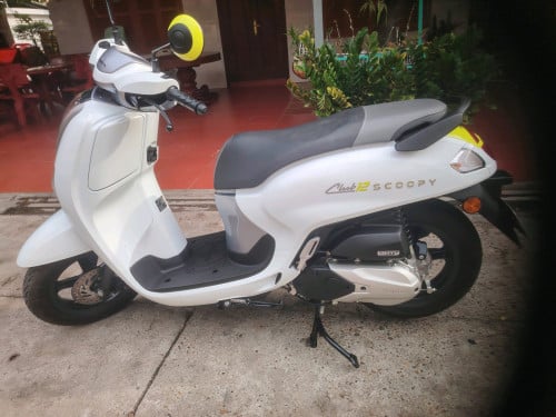Honda scoopy2025