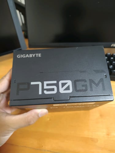 Power Supply Gigabyte P750GM