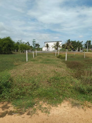 ដីឡូតិ៍តម្លៃធូរថ្លៃ - ជាប់រមណីយដ្ឋានជន្លុងម្លូ និង ក្បែរតំបន់អភិវឌ្ឍន៍ភ្នំបាសិដ្ឋ