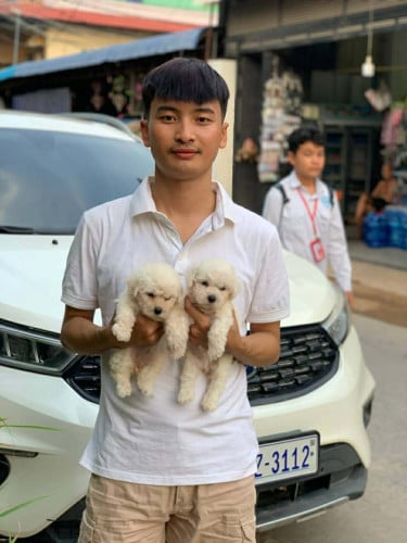 កូនៗទេីបចូលថ្មីស្អាតៗណាស់ស្រួលចិញ្ចឹមសម្រាប់បងៗចង់ទិញចិញ្ចឹមកុំអោយស្ងាត់ផ្ទះអាចទាក់ទងប្អូនបាន