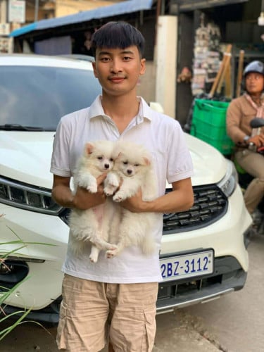 កូនៗទេីបចូលថ្មីស្អាតៗណាស់ស្រួលចិញ្ចឹមសម្រាប់បងៗចង់ទិញចិញ្ចឹមកុំអោយស្ងាត់ផ្ទះអាចទាក់ទងប្អូនបាន