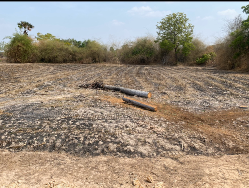 ដីលក់កណ្តាលស្ទឹង