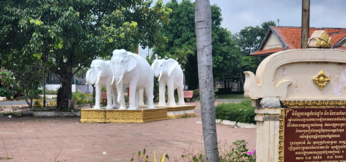 ផ្ទះលក់ក្រុងកំពង់ឆ្នាំង មានចំណូលស្រាប់