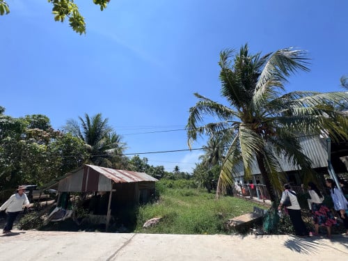 ដីគៀនស្វាយលក់ ផ្លូវបេតុង