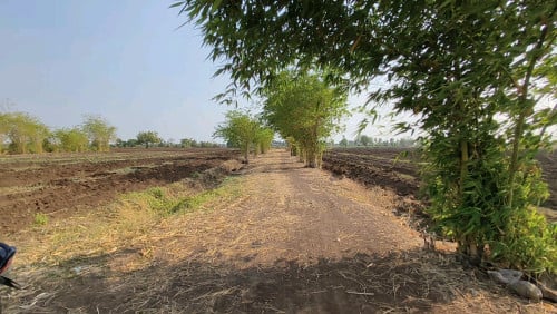 ដីលក់ឡៃឡុង
