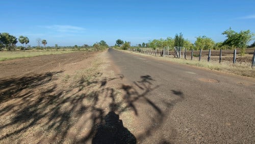 ដីលក់ឡៃឡុង