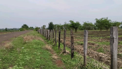 ដីលក់ឡៃឡុង