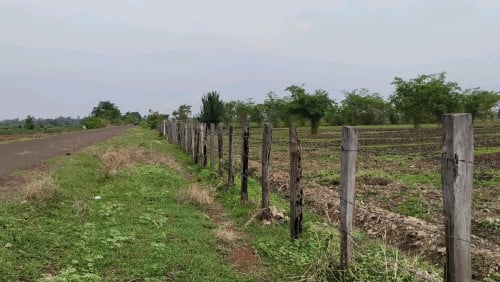 ដីលក់ឡៃឡុង