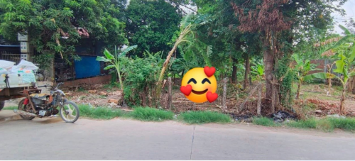 *ដីលក់ ទំហំ 12m x 180m ប្លង់រឹង ប្រញាប់​លុយ​