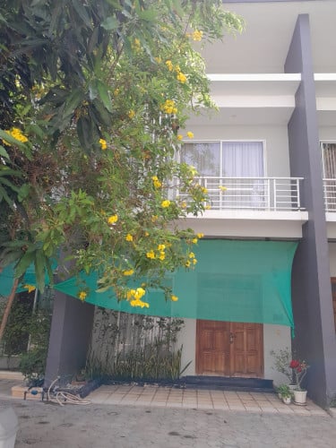 borey link house