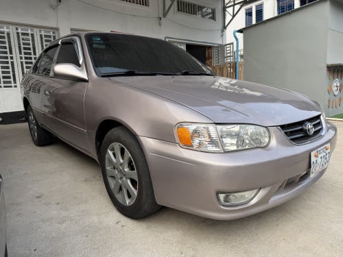 Corolla ឆ្នាំ2000 ឯកសារម្ចាស់ដើម