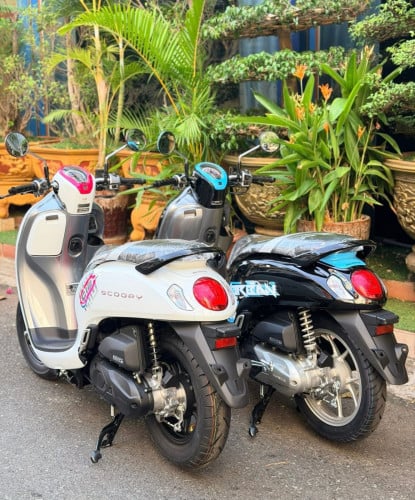 Honda Scoopy 110cc 2021 2023