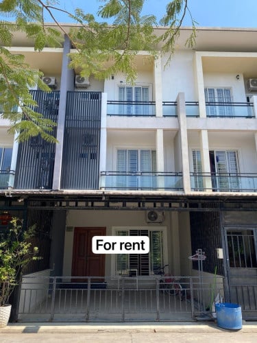 Link house for rent at Sensok (touk thlar )