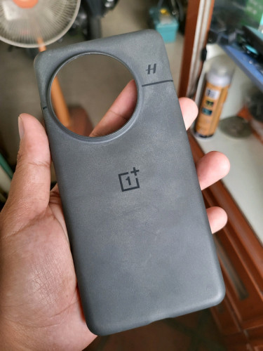 OnePlus 13