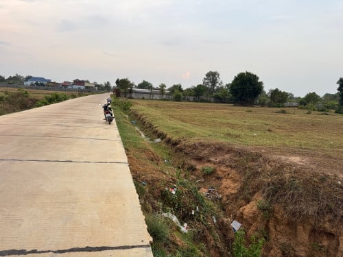 ដីលក់បន្ទាន់ គងពិសី ស្ពឺ