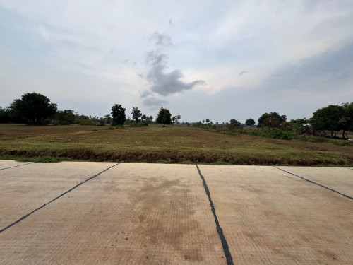 ដីលក់បន្ទាន់ គងពិសី ស្ពឺ