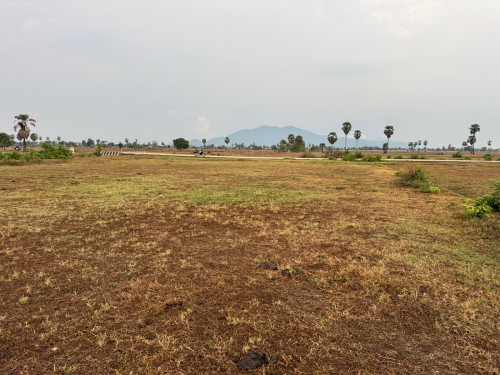 ដីលក់បន្ទាន់ គងពិសី ស្ពឺ