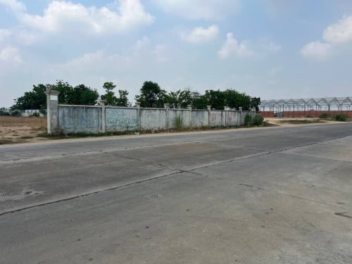 ដីលក់នៅលើផ្លូវបេតុងឃ្មួញ
