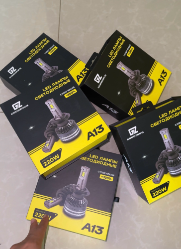 អំពូលLEDដាក់ក្នុងគុជ 220w