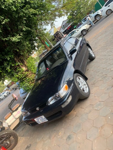 Corolla 96 បៃតងចាស់