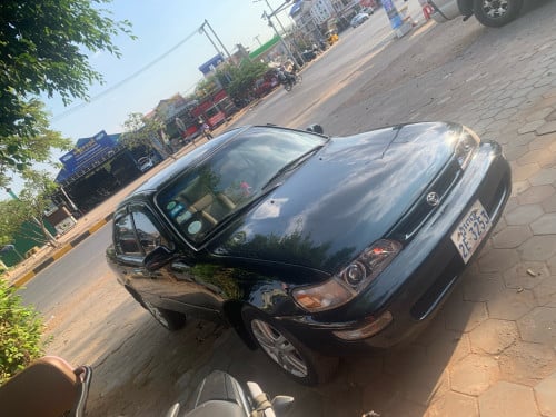 Corolla 96 បៃតងចាស់
