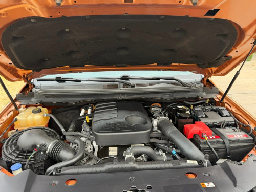 Wildtrak 2019 2BB Pp