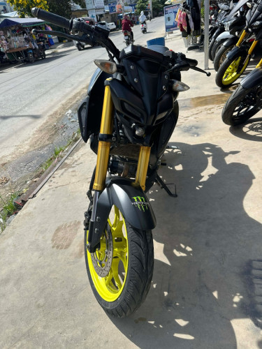Yamaha MT15 019