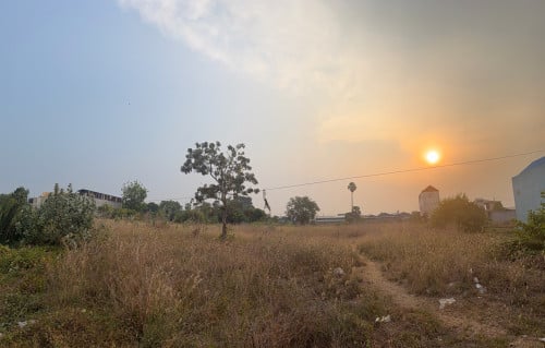 ដីព្រៃសជិតផ្សារទួលសំបូរ
